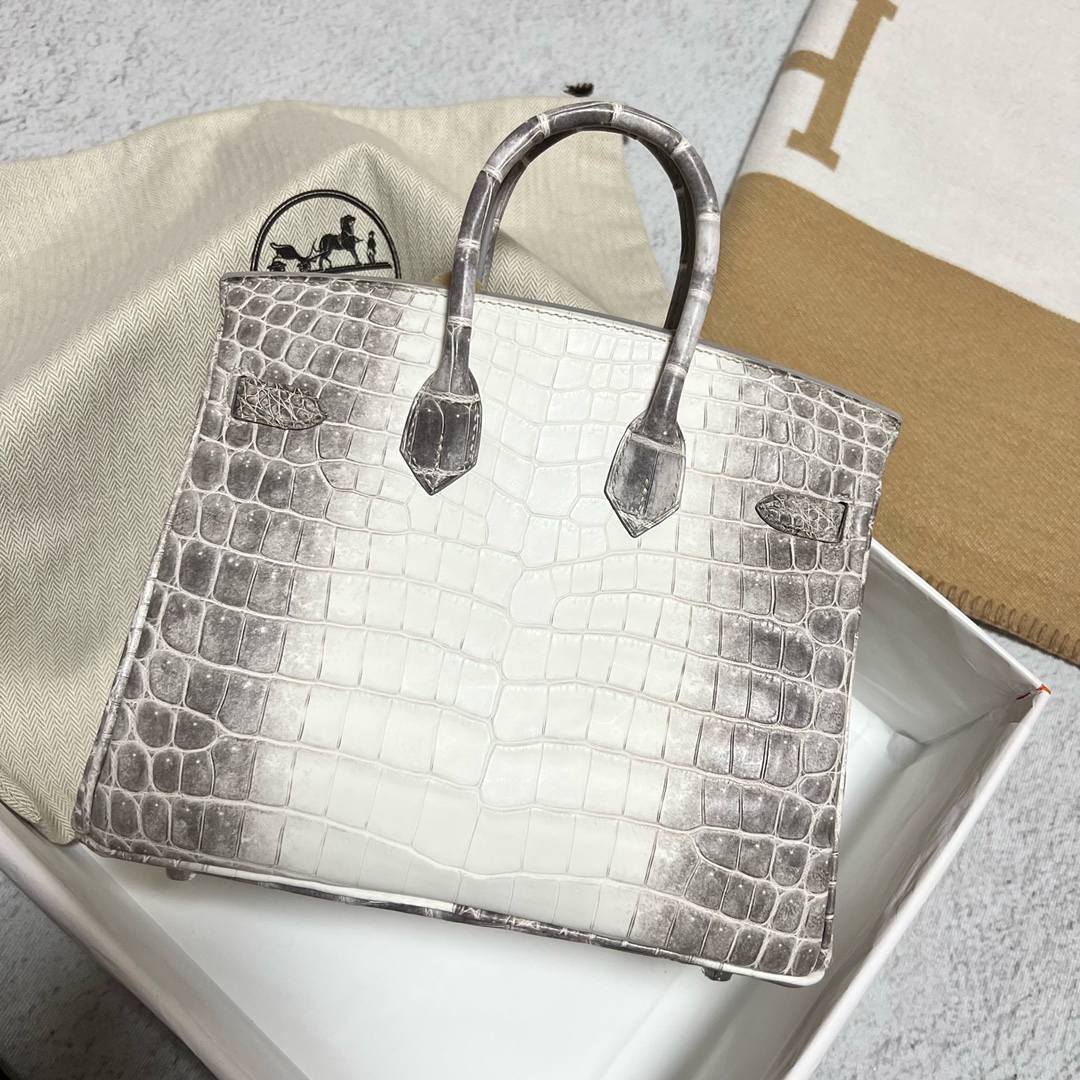 에르메스 버킨백25 히말라야 은장